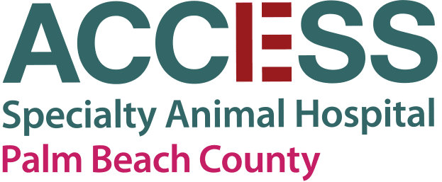 Access Logo Stacked