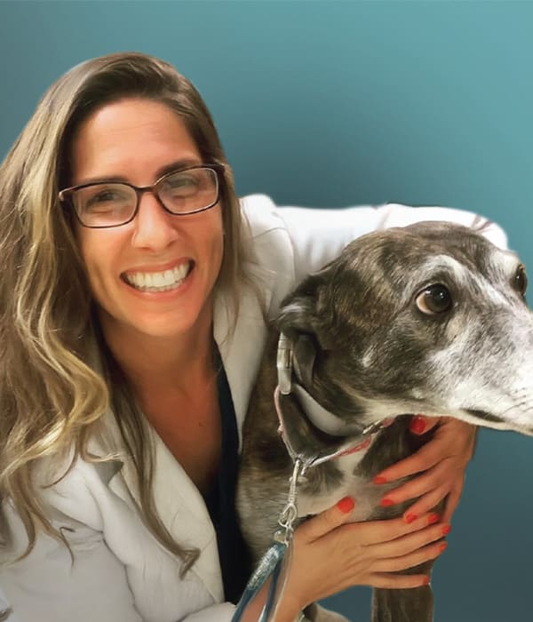 Dr Zafiris Dr Zafiris in coat with gray dog