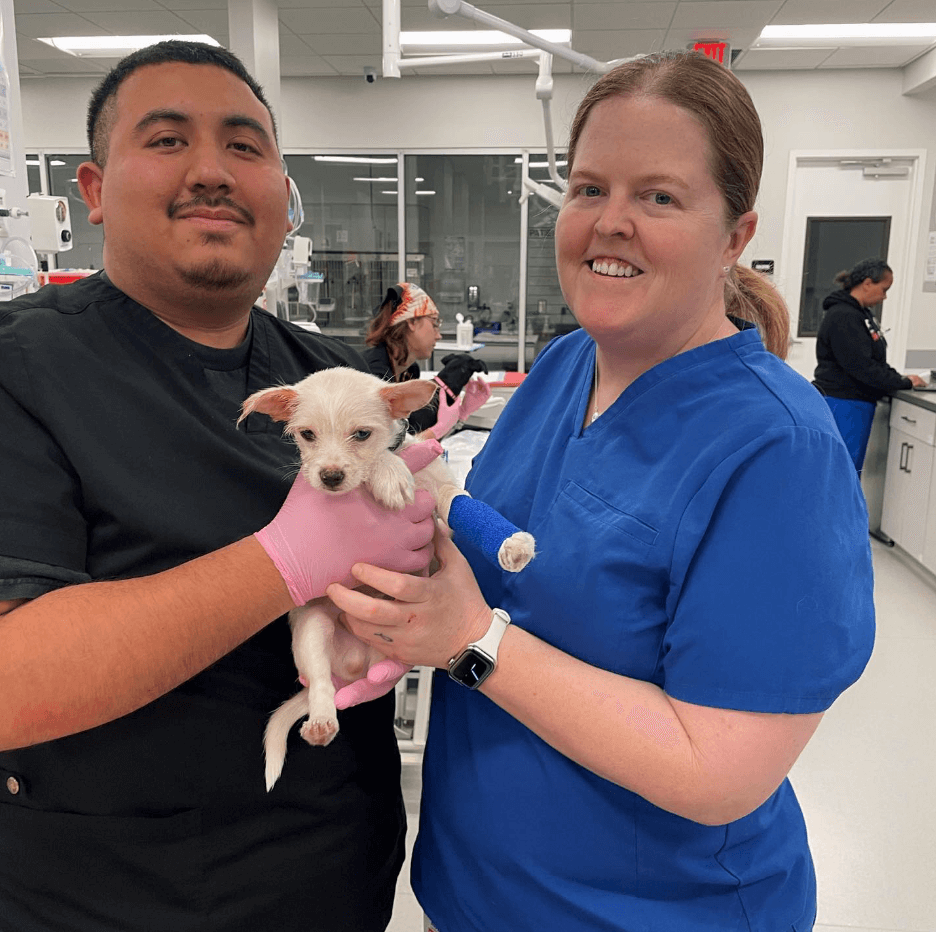 Access Vet Team Members Holding White Dog With Leg Cast Access Vet Team Members Holding White Dog With Leg Cast