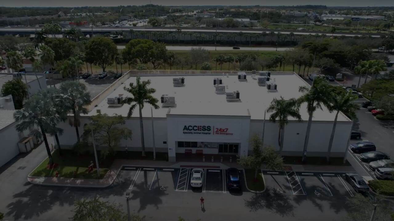 Drone Shot Of Access Palm Beach Building
