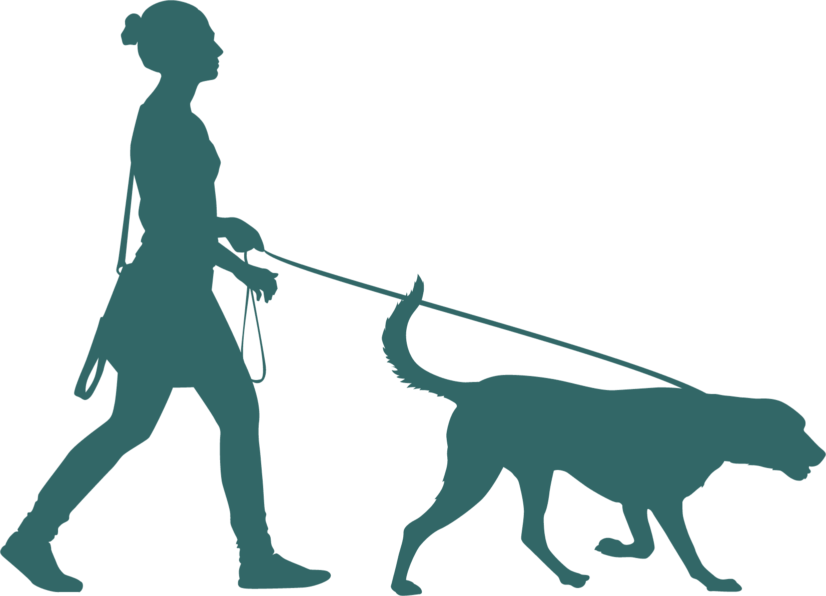 Illustration Of Woman Walking Dog Illustration Of Woman Walking Dog