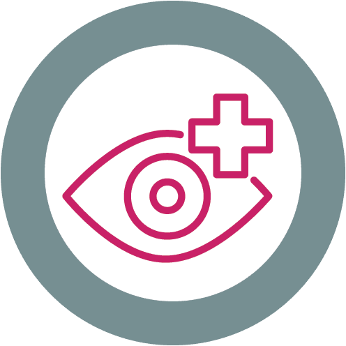 Pet Ocular Conditions We Treat in West Palm Beach