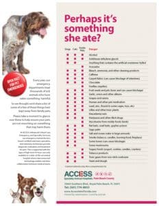 Access Palm Beach County Pet Food Safety Tips
