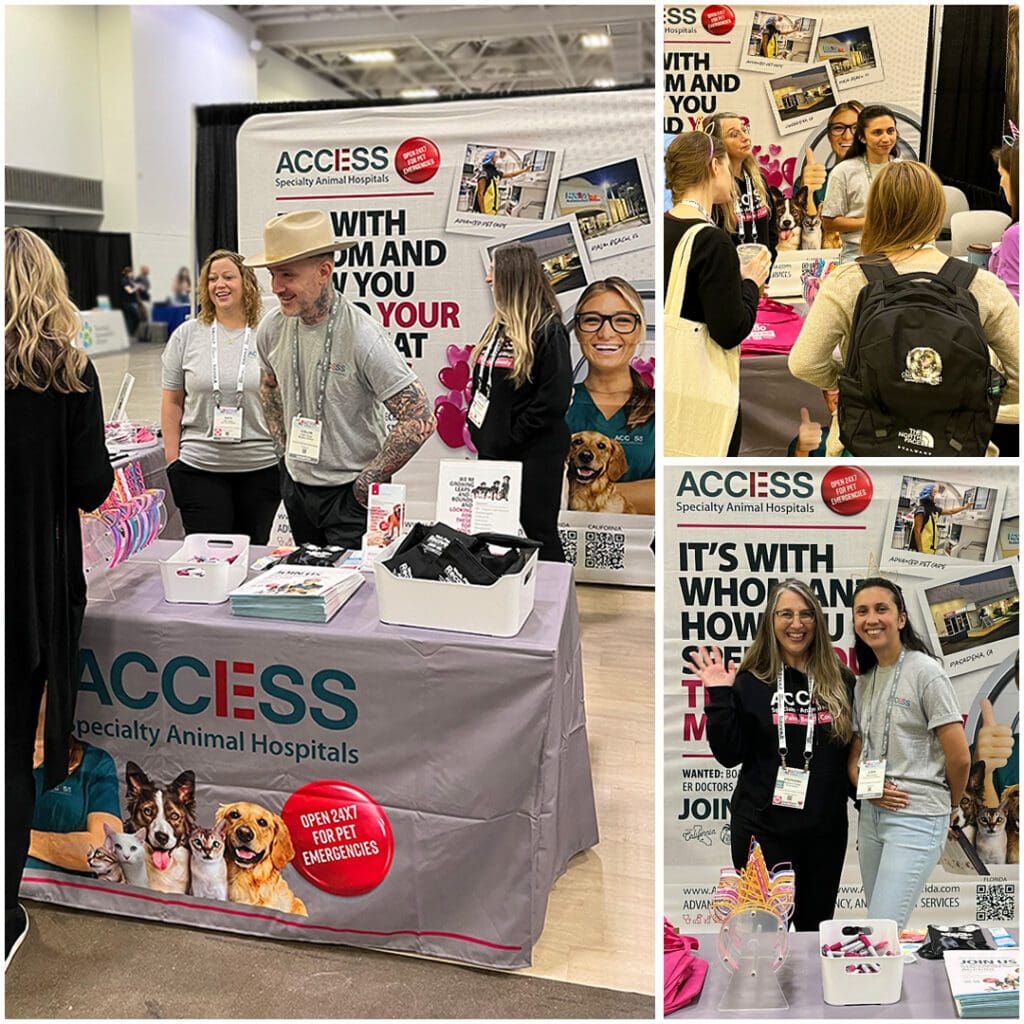 Acvim 24 Social Media Post