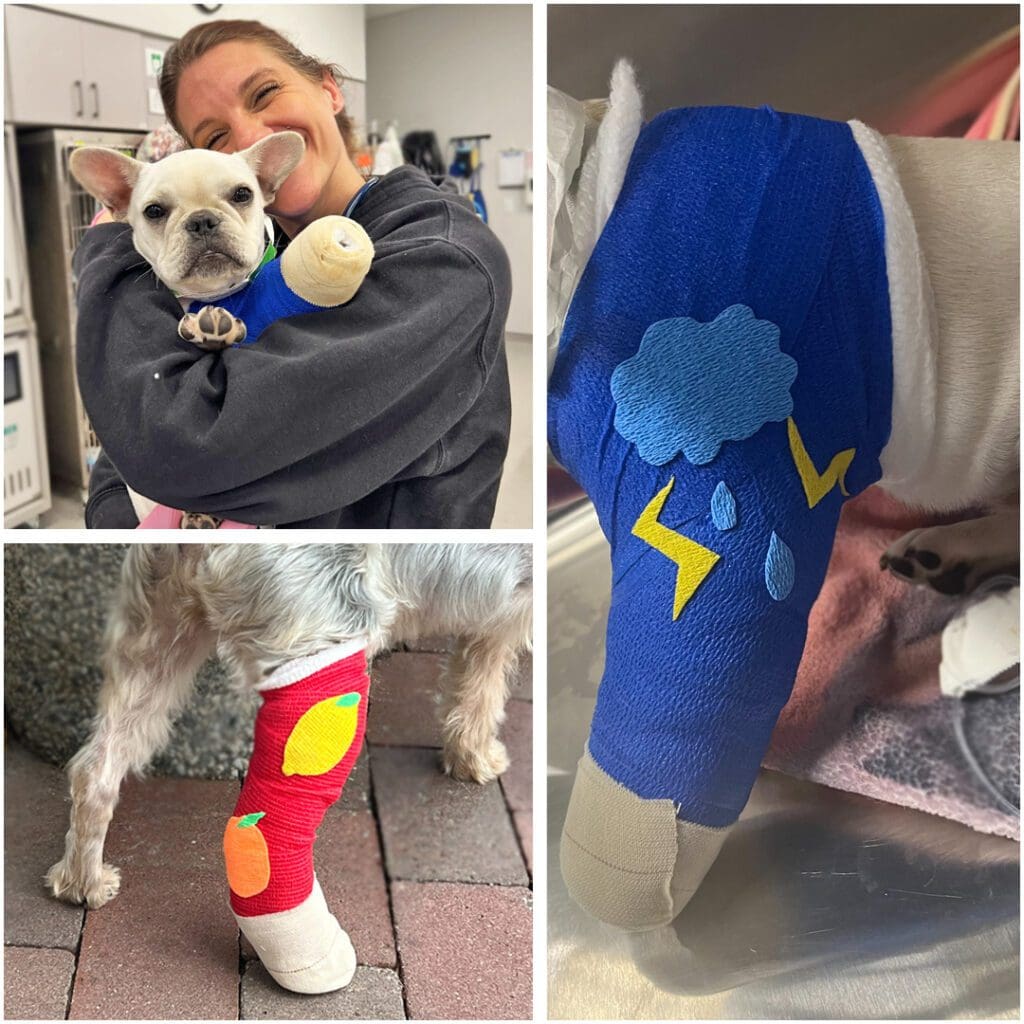 Custom Vet Wrap Access Palm Beach
