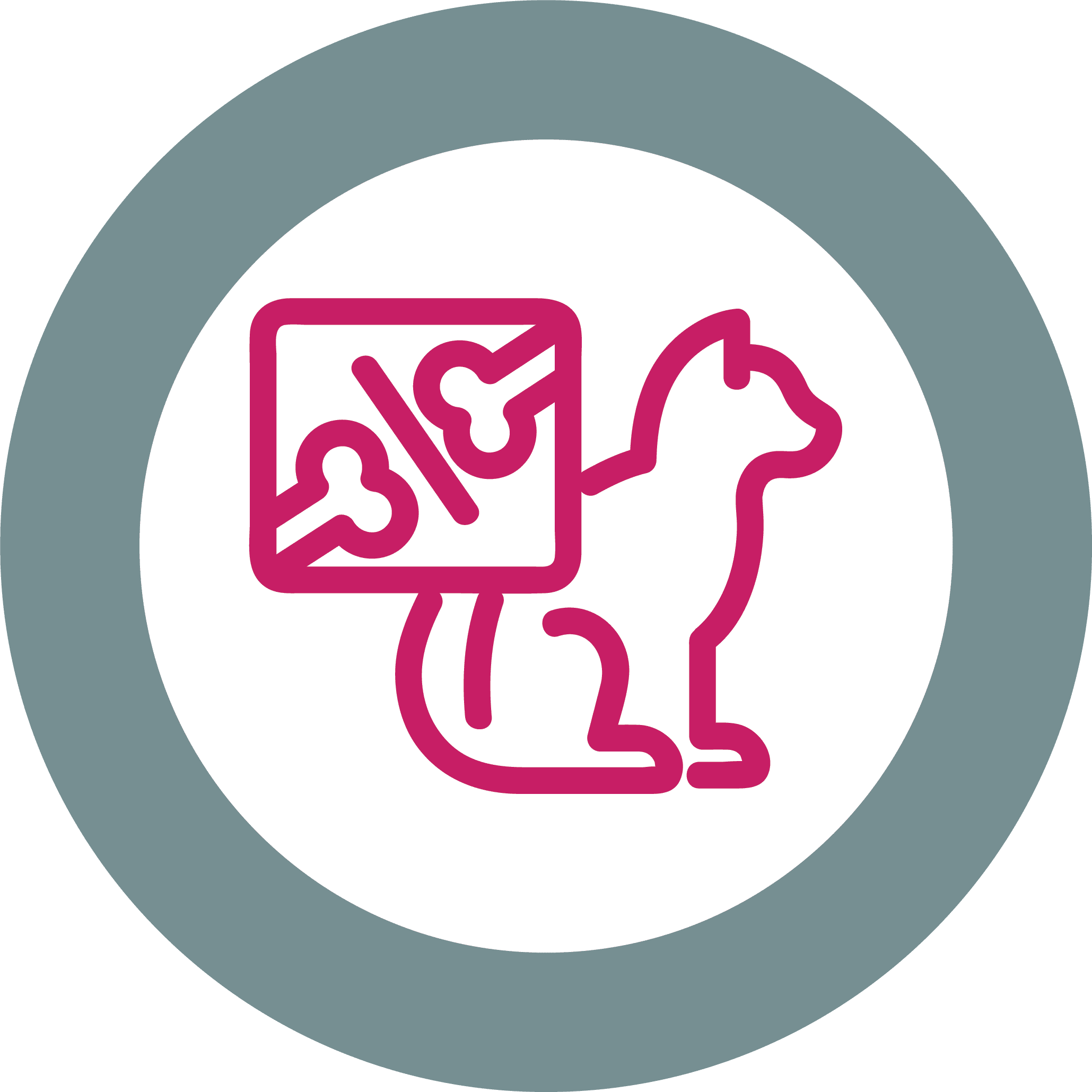 What is Interventional Radiology for Pets?
