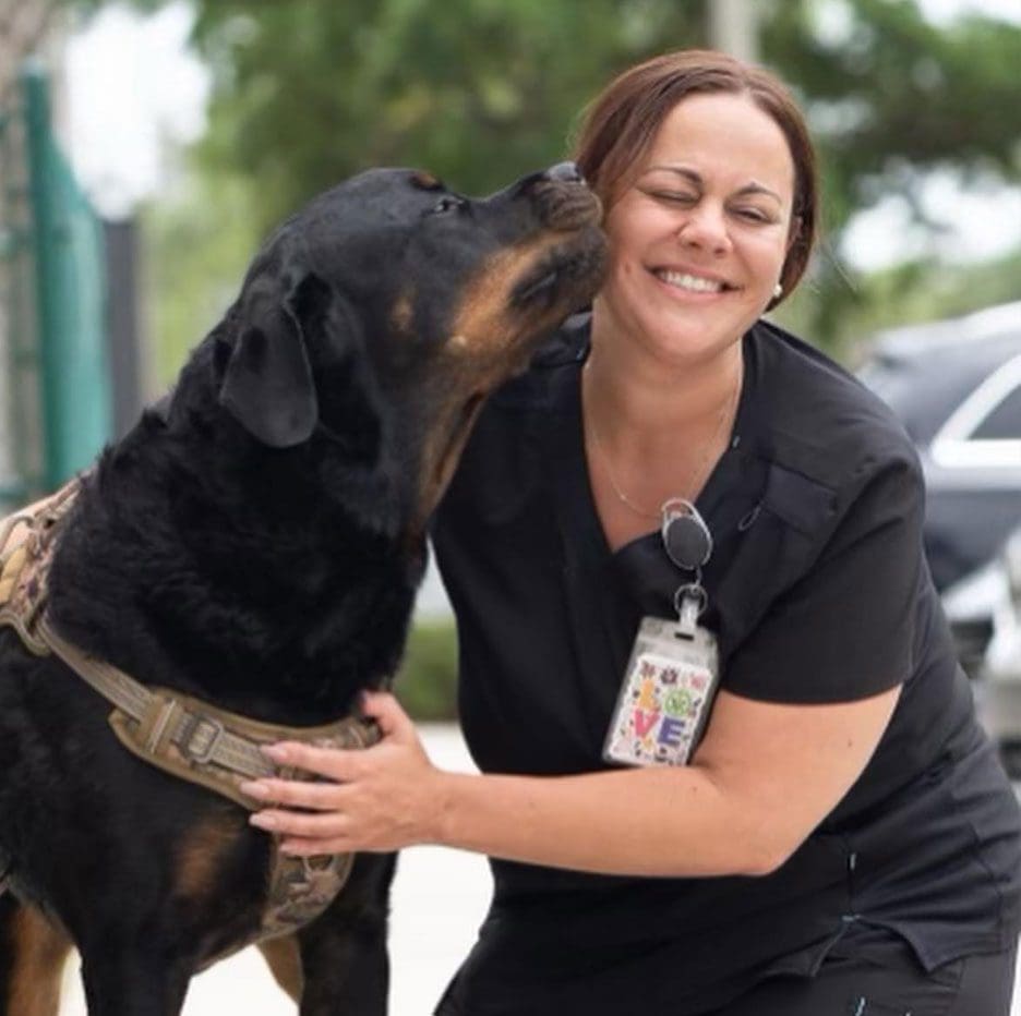 Dog Licking Vet Assistant On Cheek