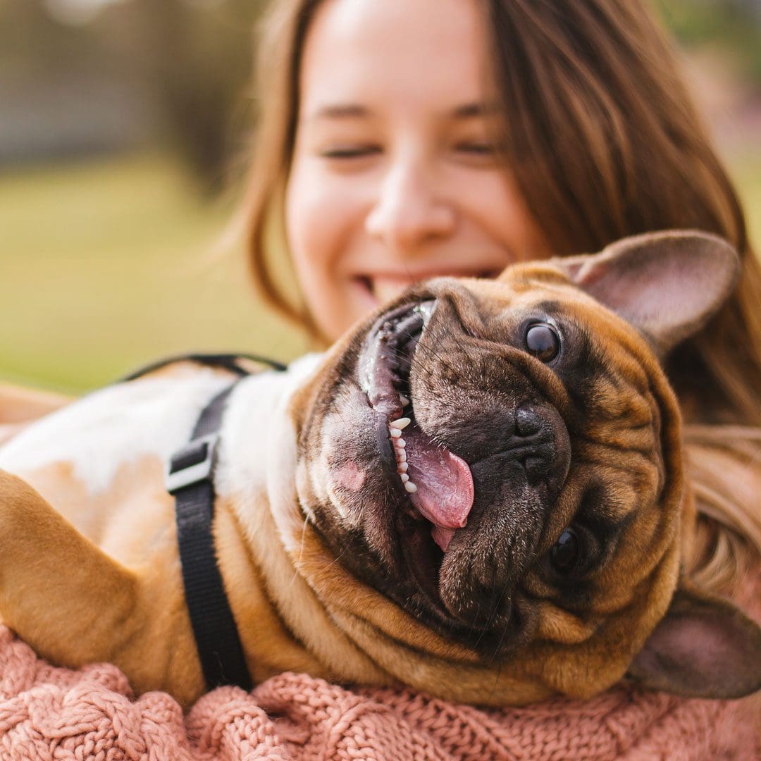 Girl Holding Happy Dog
