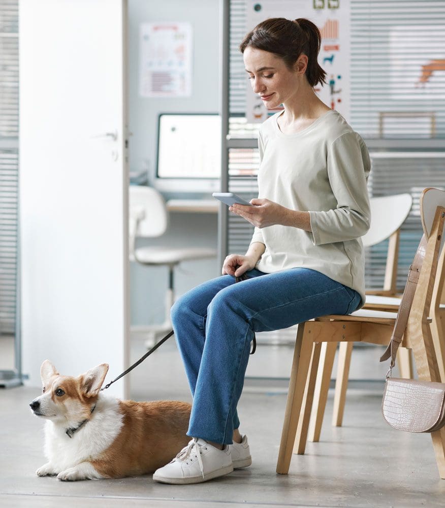 Owner In Waiting Room On Phone With Dog