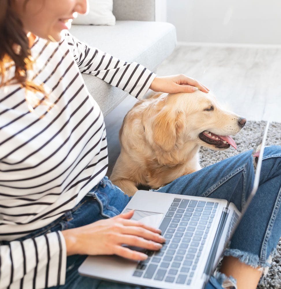 Owner With Dog On Laptop Owner With Dog On Laptop Sitting On Floor
