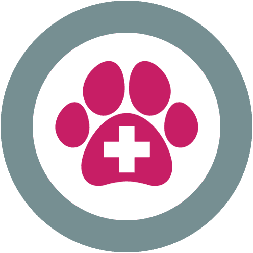Specialist Care for Critical Needs