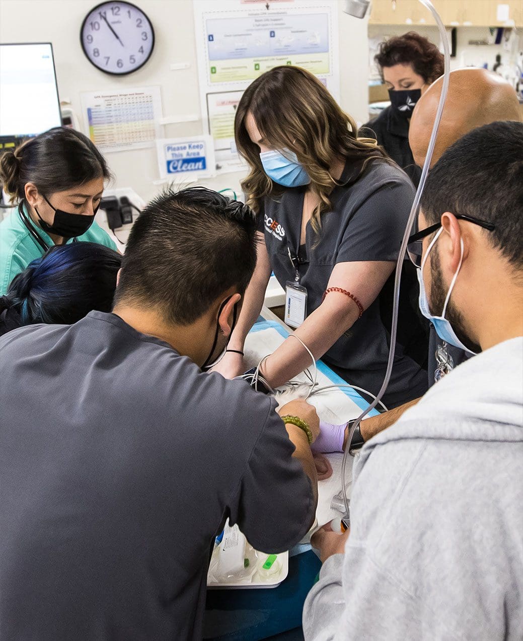 Team Performing Surgery On Cat