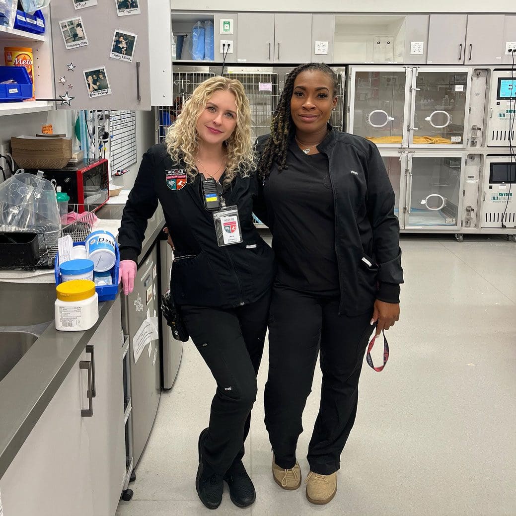 Two Team Members Two Team Members In Clinic