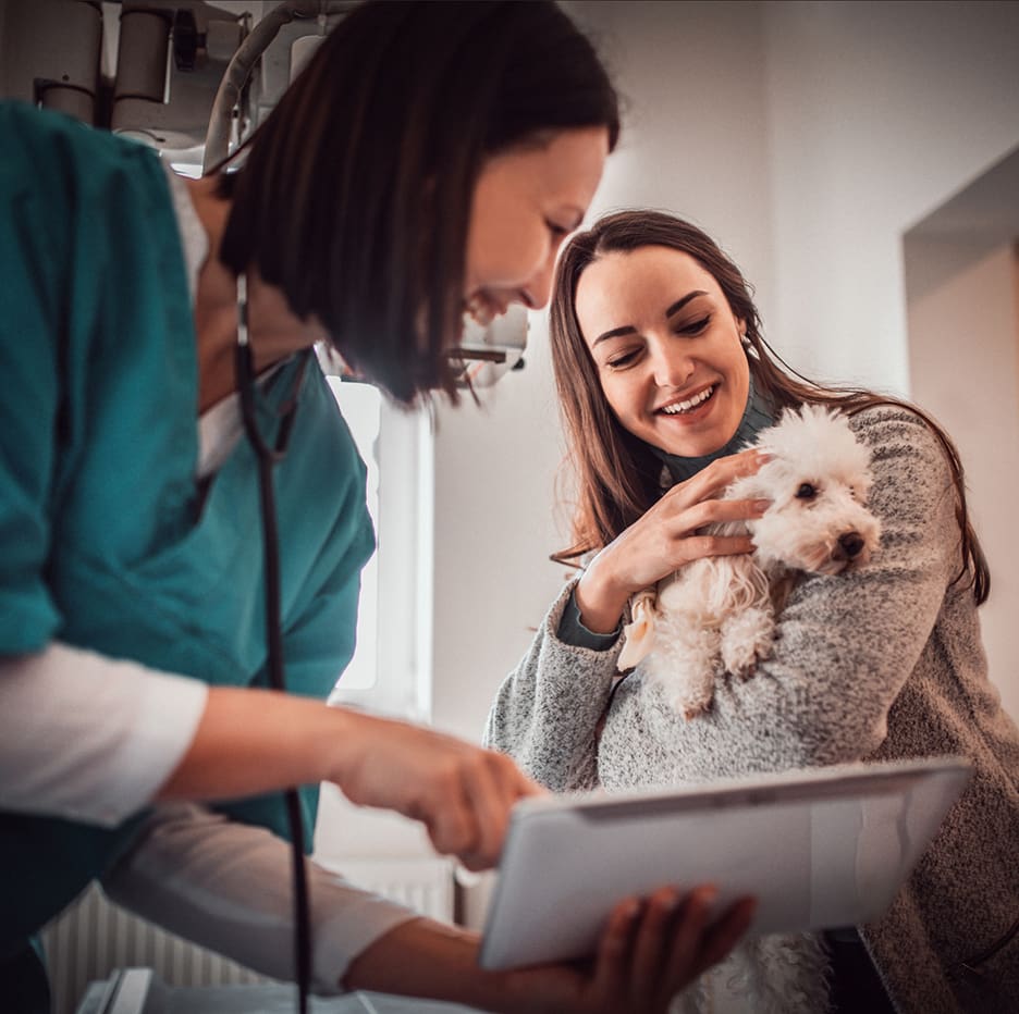 Doctor And Pet Owner