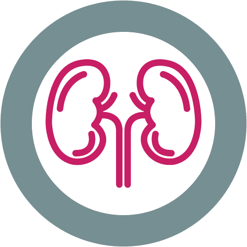 What Is Veterinary Nephrology?