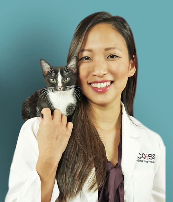 Dr Elizabeth Chan