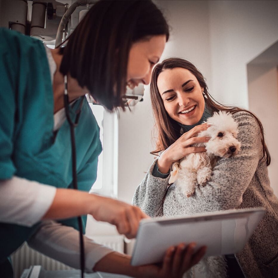 Doctor And Pet Owner