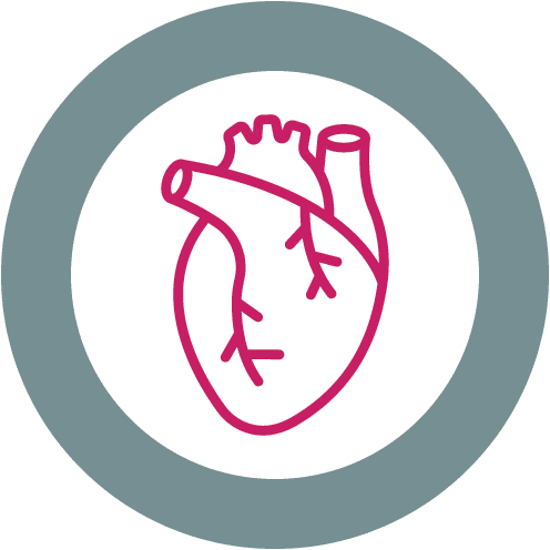 Cardiology Heart Icon Cardiology Heart Icon