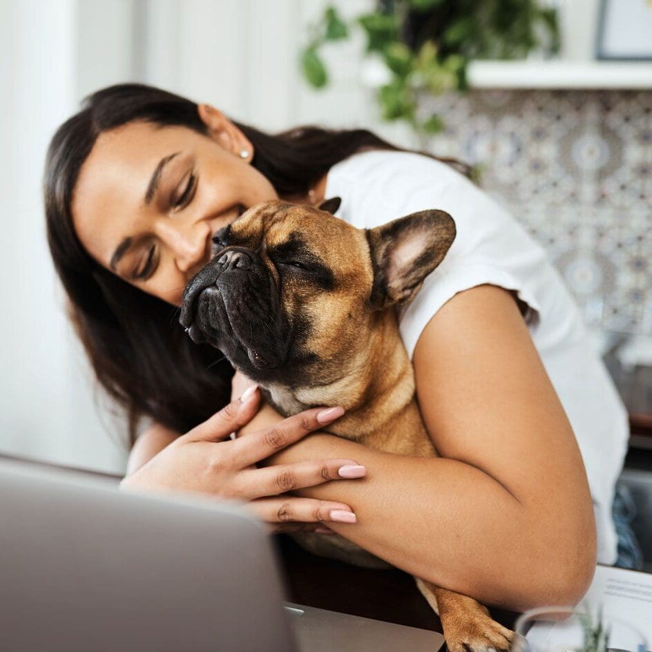 Owner Hugging Dog From Behind Owner Hugging Dog From Behind While On Laptop