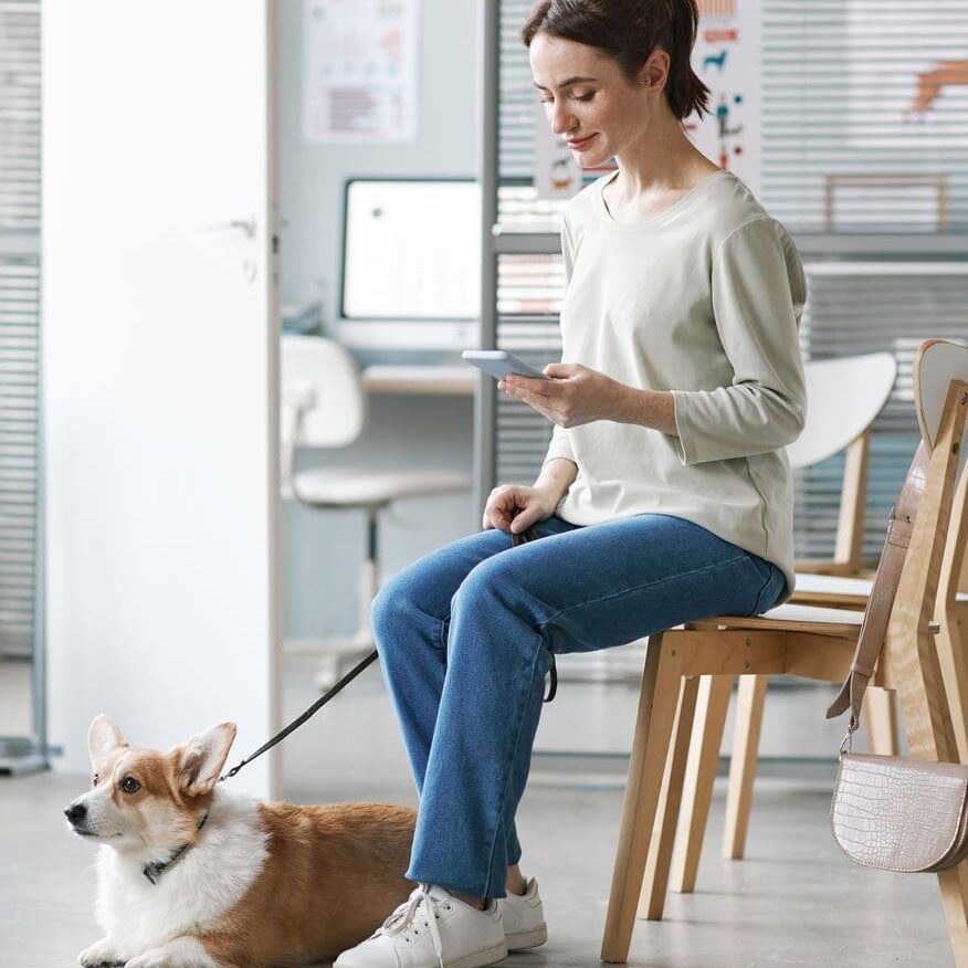 Owner In Waiting Room On Phone With Dog
