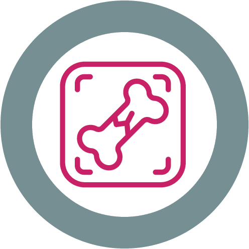 Radiology Xray Bone Icon Radiology Xray Bone Icon