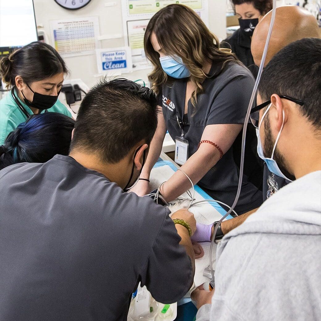 Team Performing Surgery On Cat