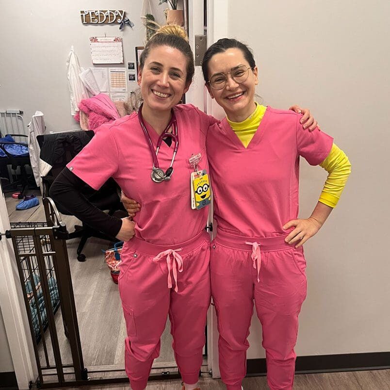 Two Vet Assistant In Pink