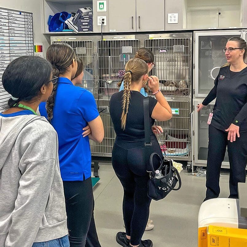 Vet Assistant Giving Tour Of Clinic
