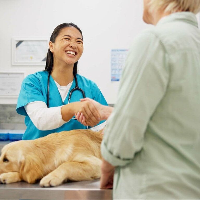 Vet Shaking Hands With Owner